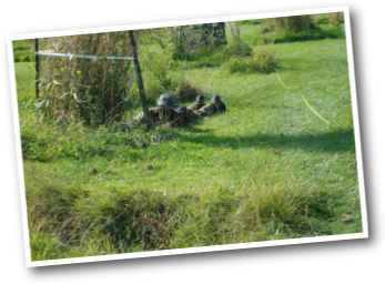 paintball